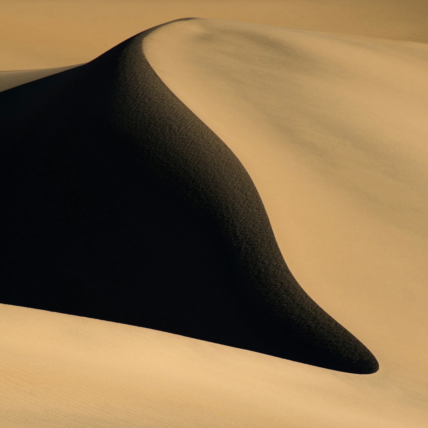 Top 10 Must-Visit Deserts Around the Globe
