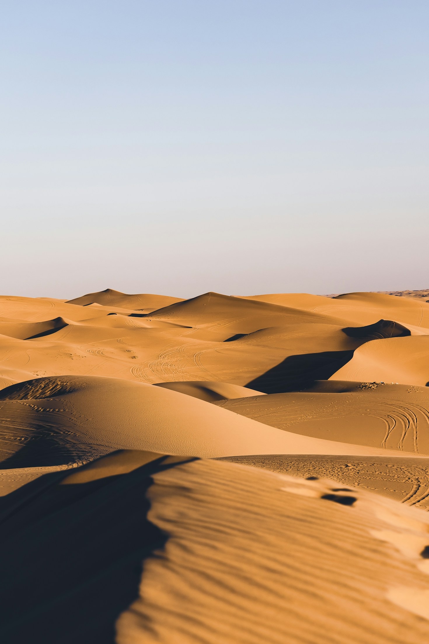 How Desert Cultures Adapt to Harsh Climates