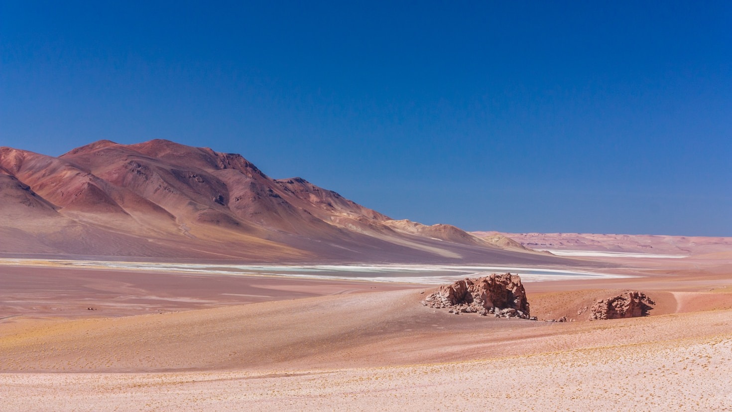 The Flora and Fauna of the World’s Deserts