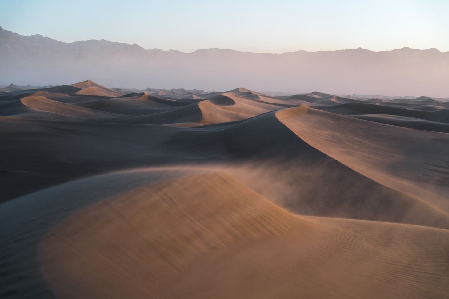 A Guide to Desert Hiking and Survival Tips